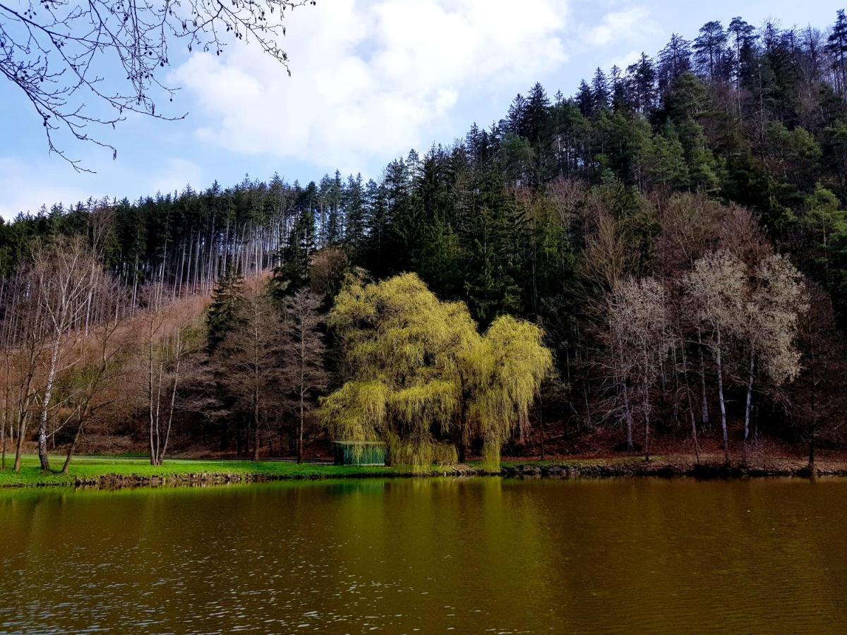 Schupplerova Vila Hostejn Bagian luar foto
