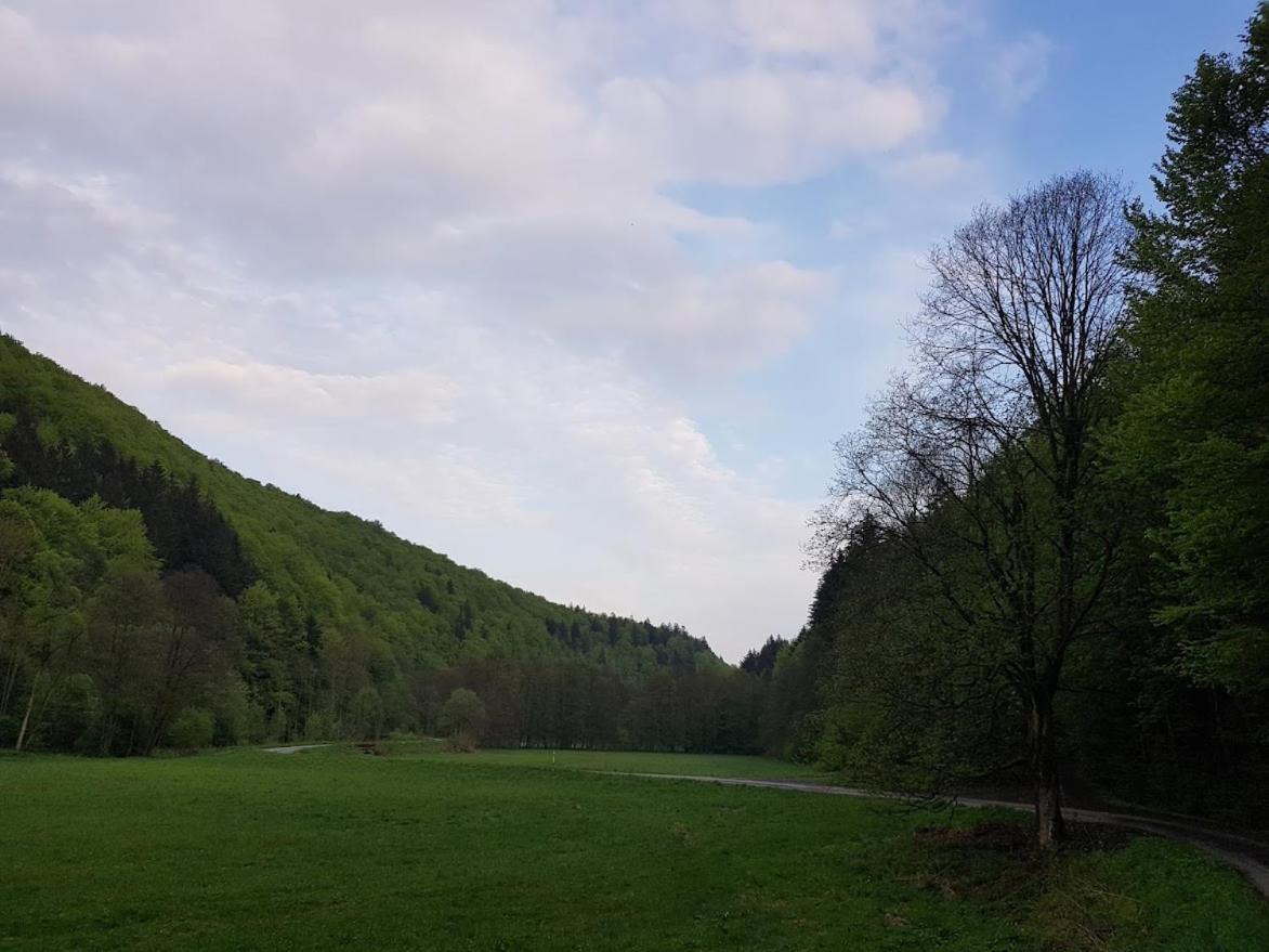 Schupplerova Vila Hostejn Bagian luar foto