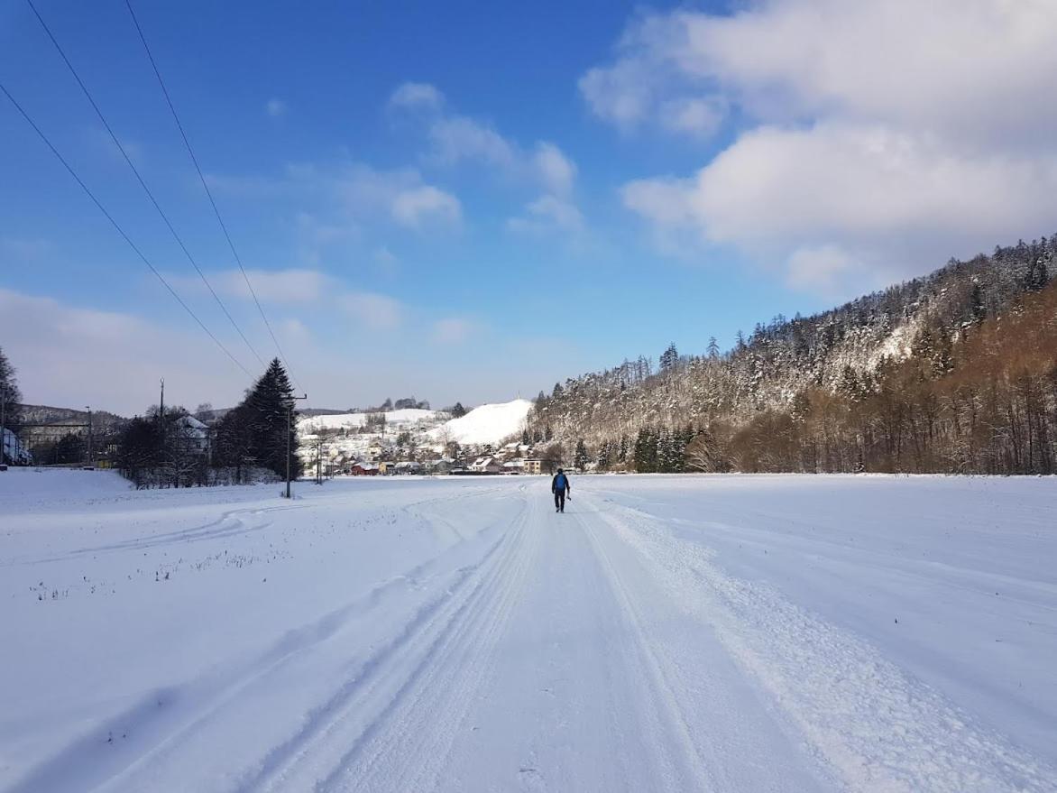 Schupplerova Vila Hostejn Bagian luar foto