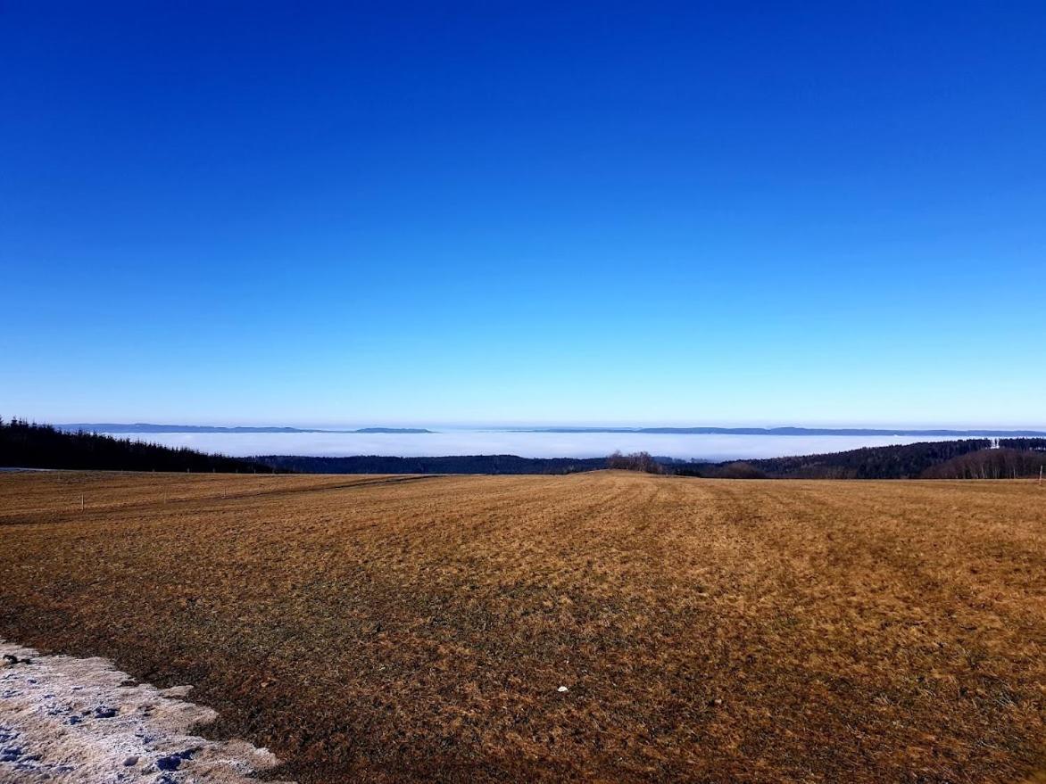 Schupplerova Vila Hostejn Bagian luar foto
