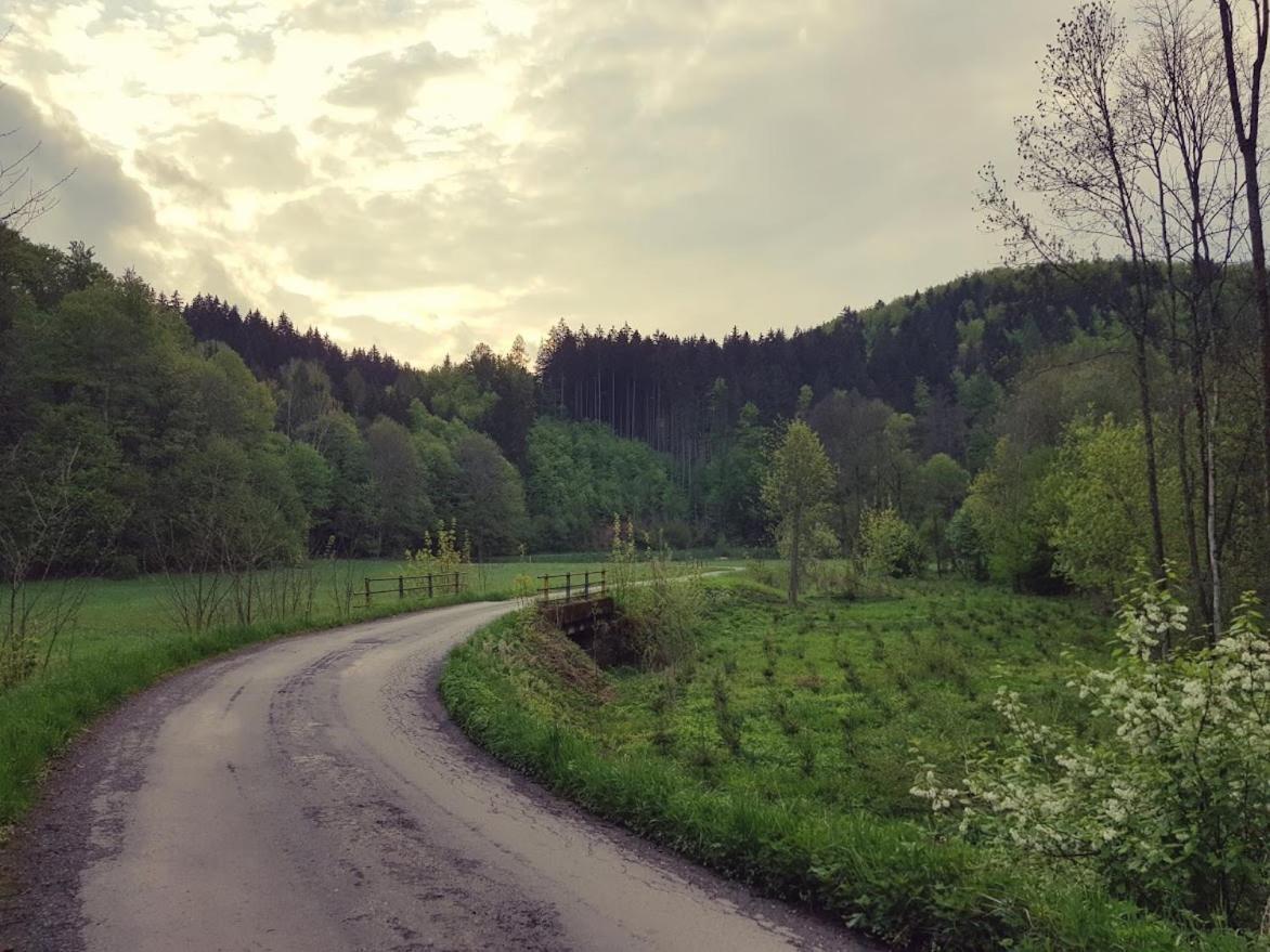 Schupplerova Vila Hostejn Bagian luar foto