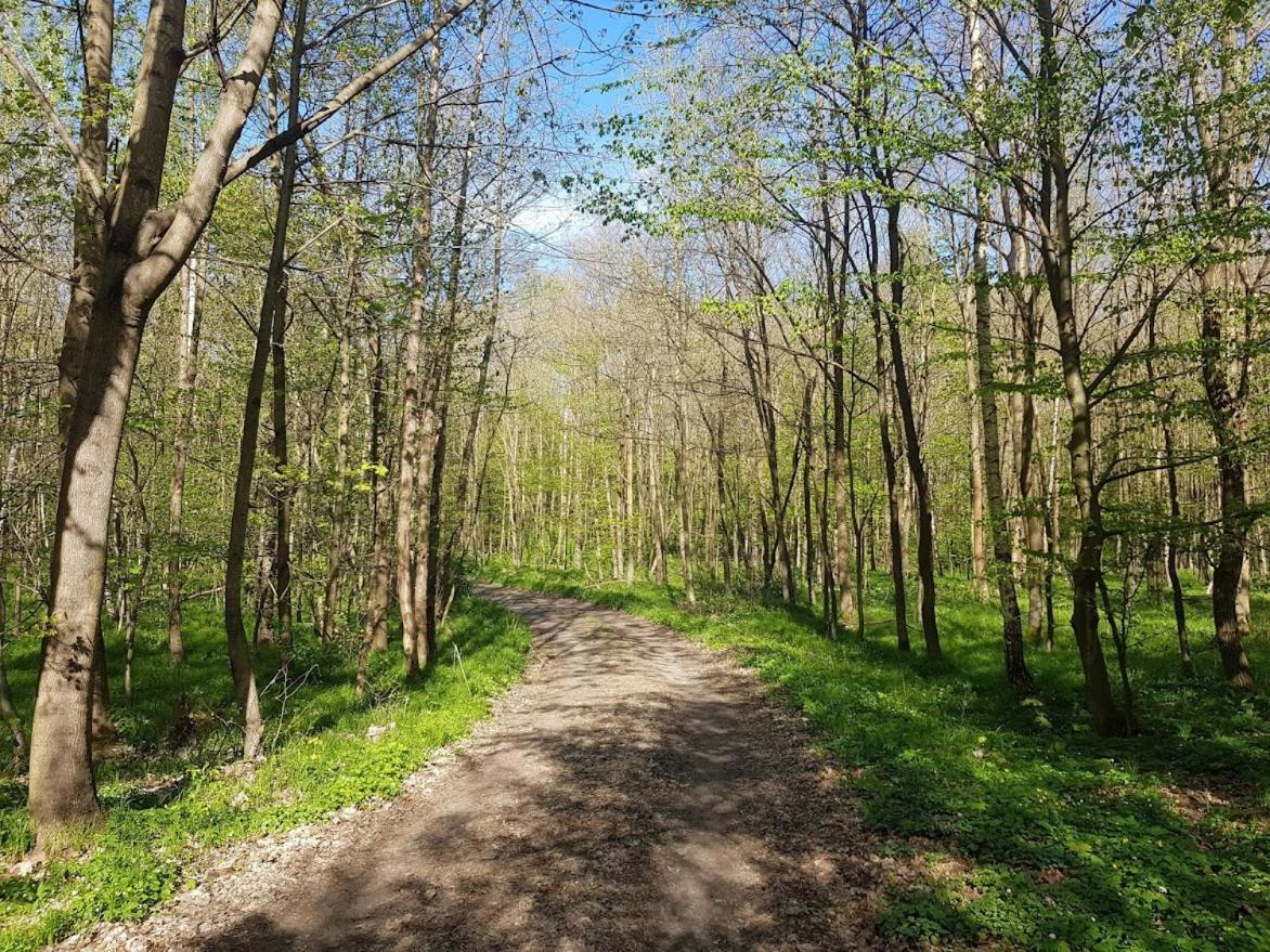 Schupplerova Vila Hostejn Bagian luar foto