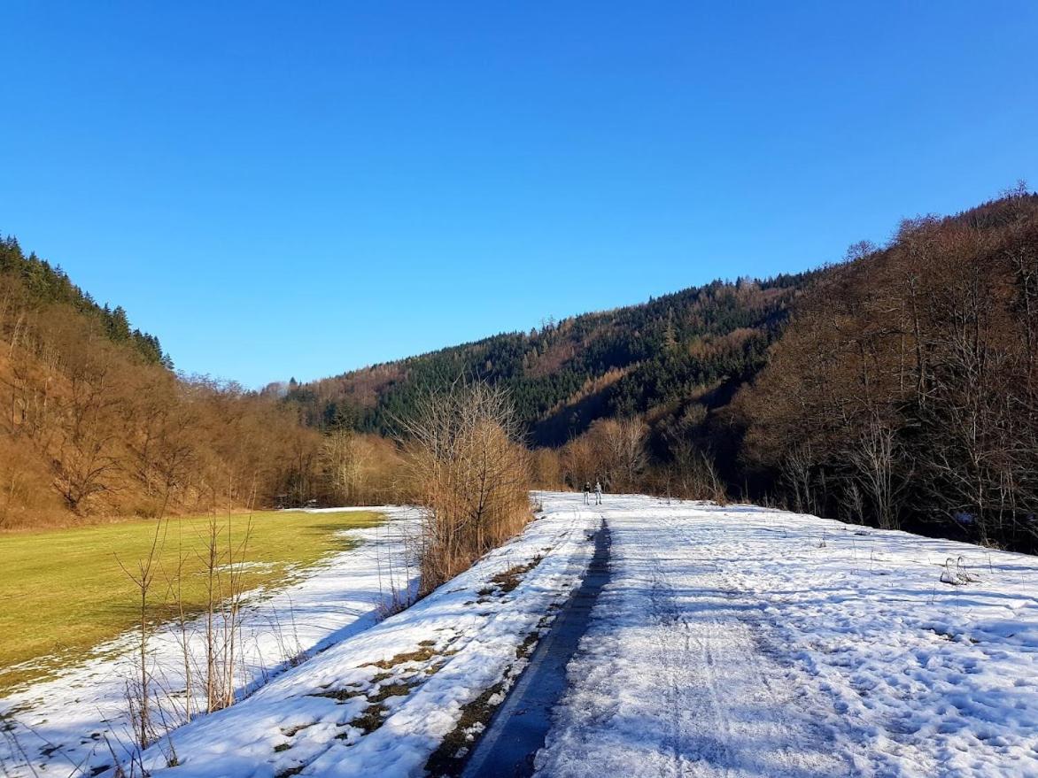 Schupplerova Vila Hostejn Bagian luar foto